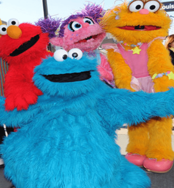 Cookie Monster Cookie Monster