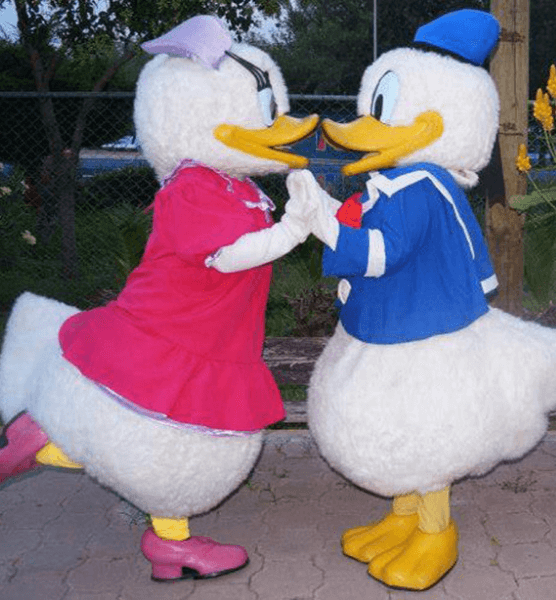 Mrs Duck Mrs Duck