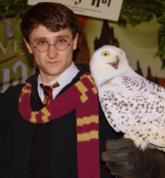 characters-for-birthday-parties-harry-potter