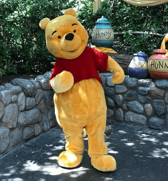 characters-for-birthday-parties-winnie-the-pooh