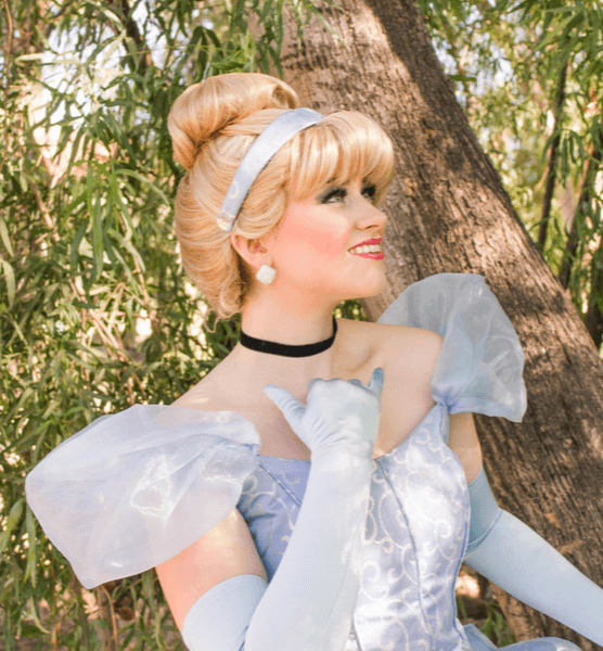 Princess Cinderella Princess Cinderella