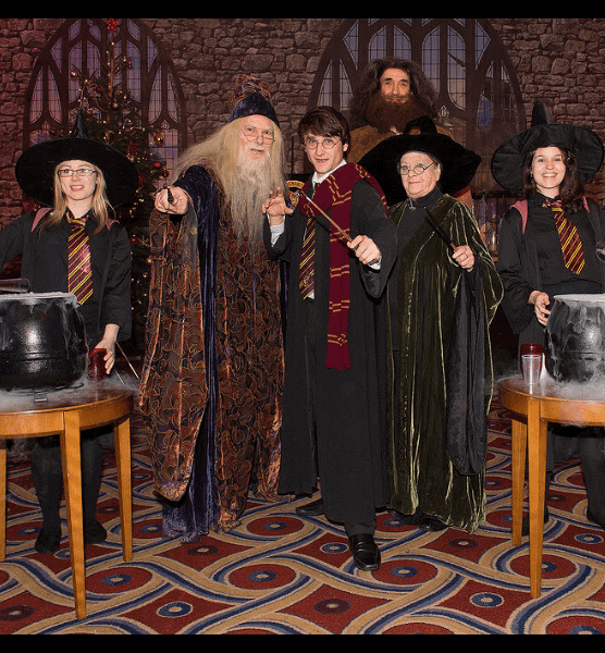 rent-a-character-for-a-birthday-wizard