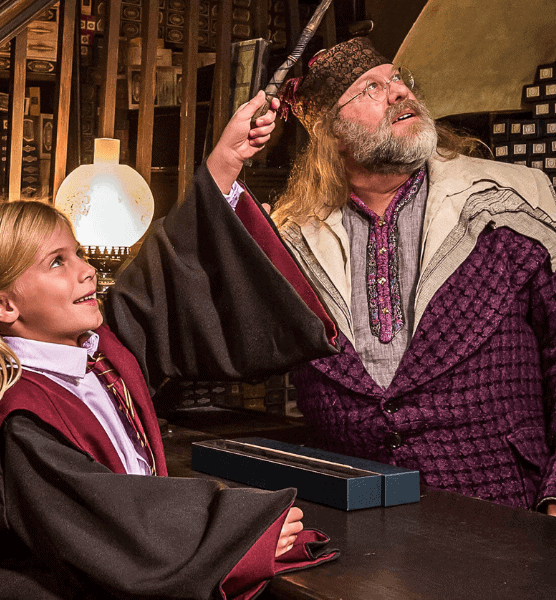 rent-a-character-for-a-birthday-wizard