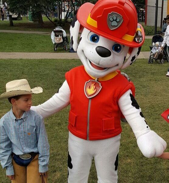 Paw Patrol Marshall Paw Patrol Marshall